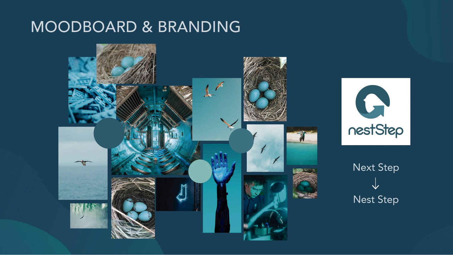 Onboarding_webApp_SofiaGenestal_Moodboard